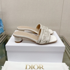 Christian Dior Slippers